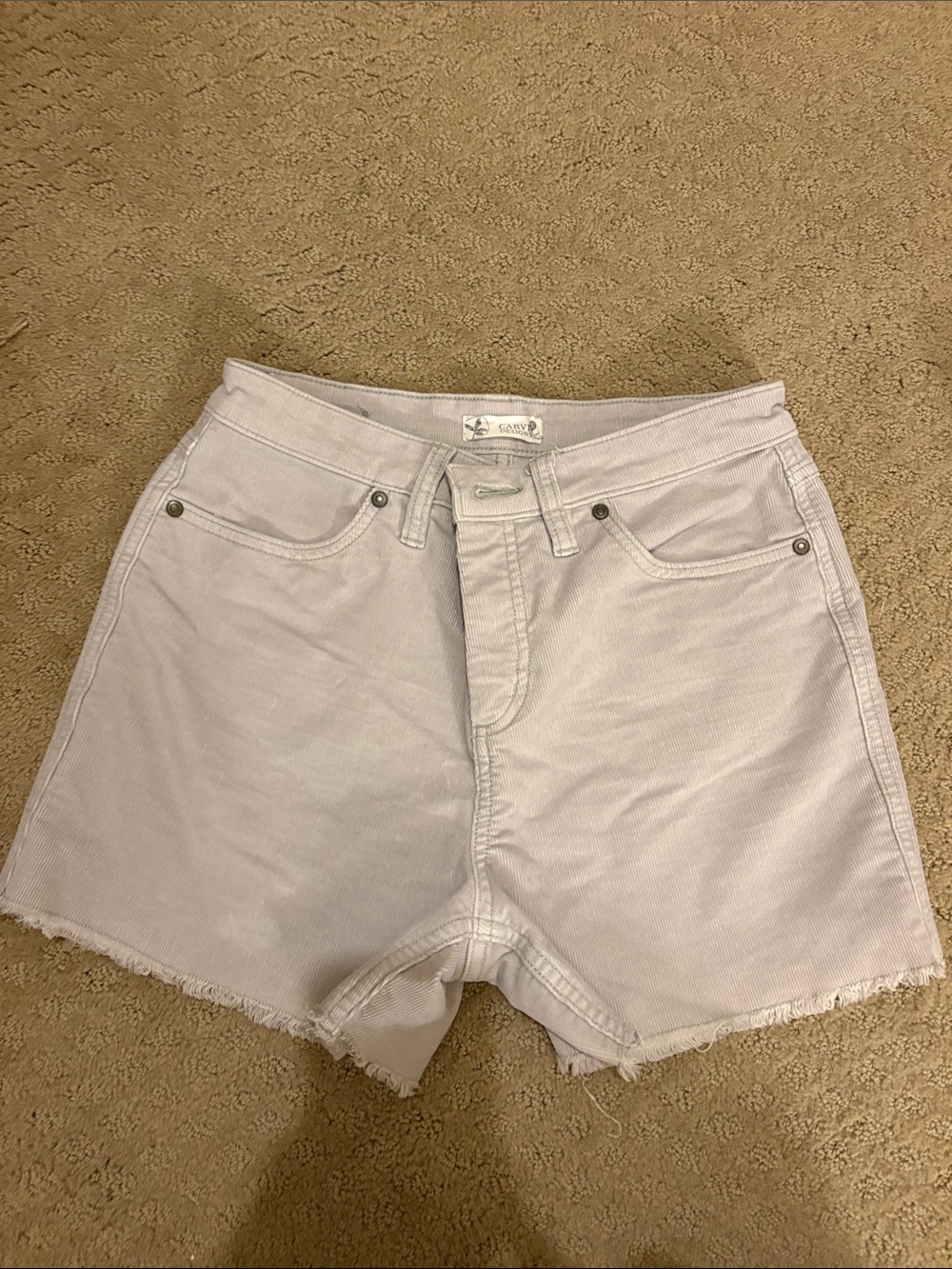 Carve Designs Light Lavender High-Rise Denim Shorts